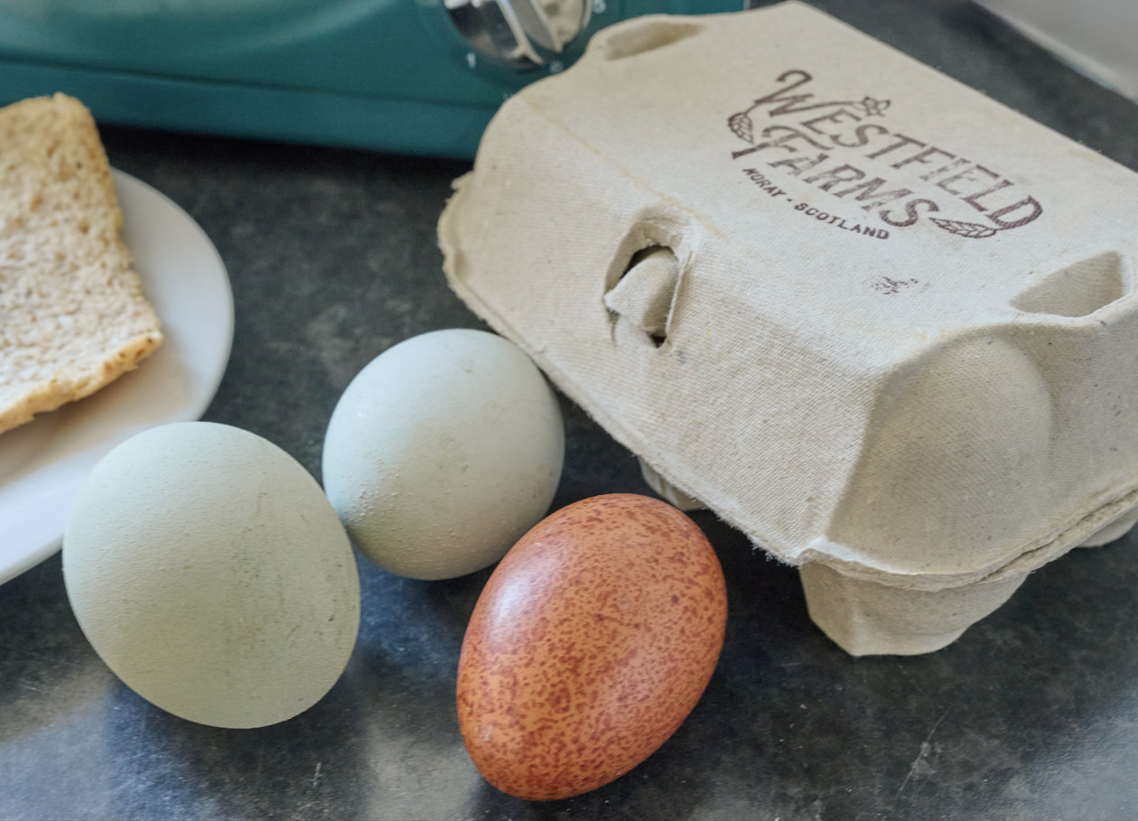 farm shop elgin fresh eggs and bread farm shop elgin fresh eggs and bread